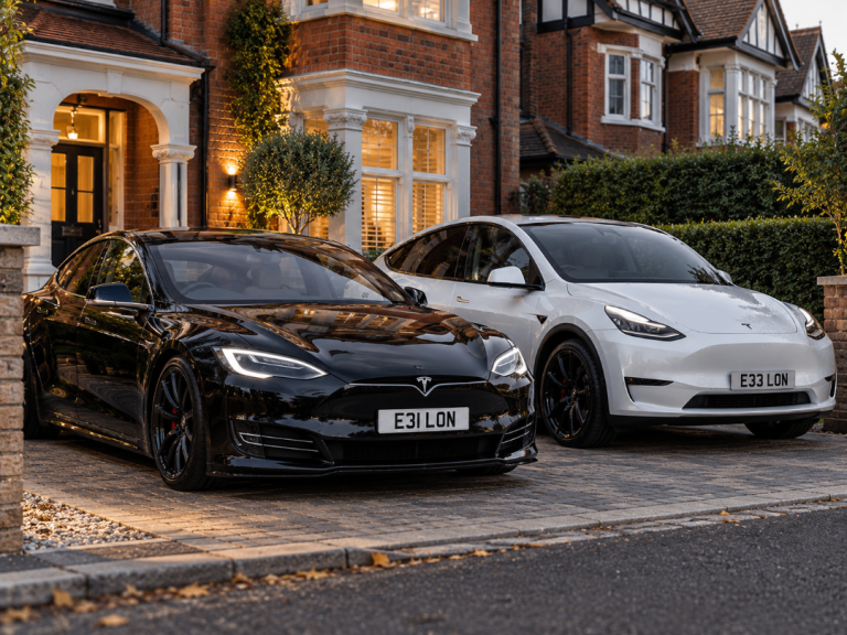 E31 LON / E33 LON - ELON / Tesla private car number plate