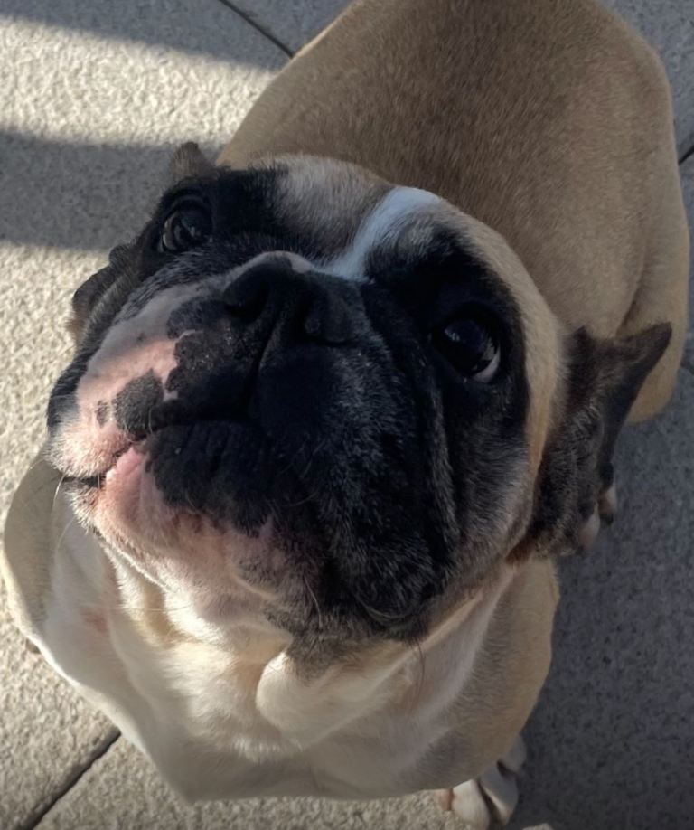 Ready now for there 4ever homes 