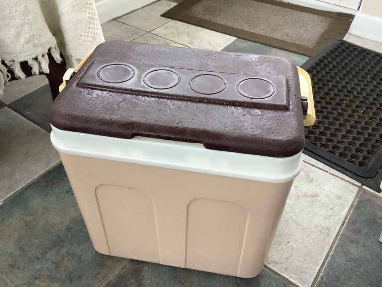 Insulated cool box