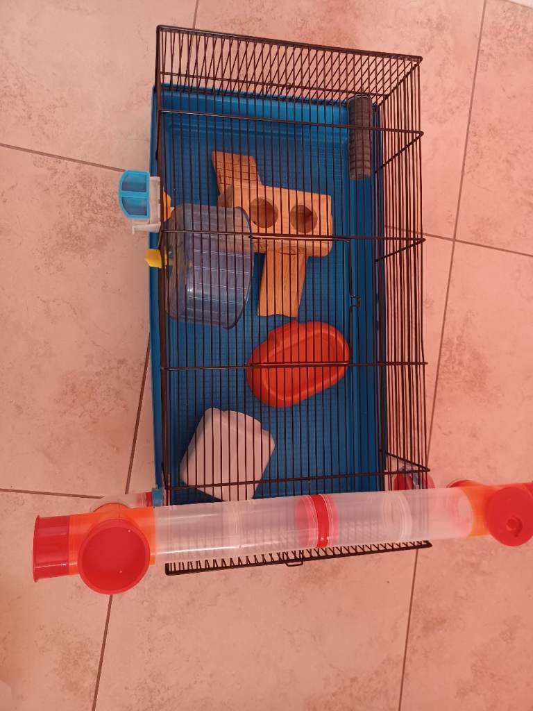 Russian hamster cage and ball