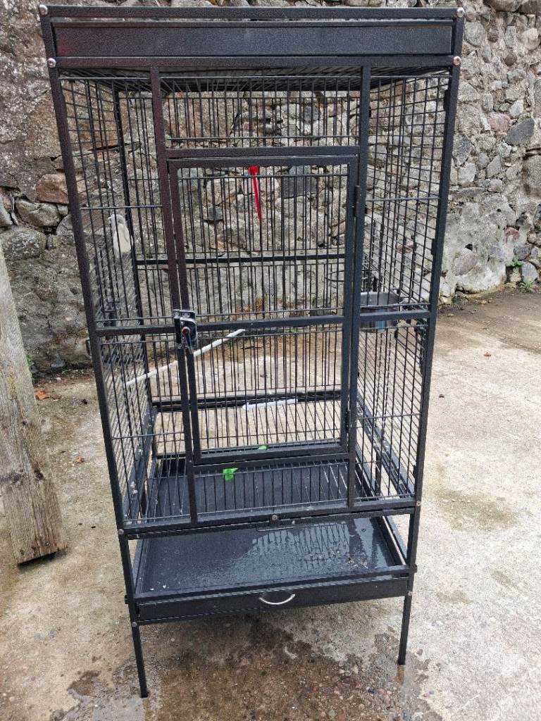 Bird cage