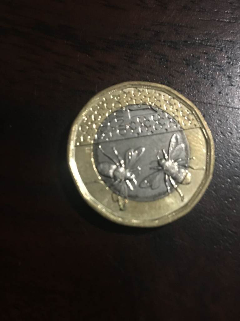 UK £1 Coin – King Charles III, Bees Design