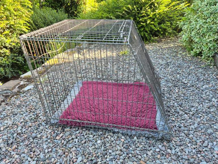 Portable folding dog cages/crates. All close and open properly. One brand new.