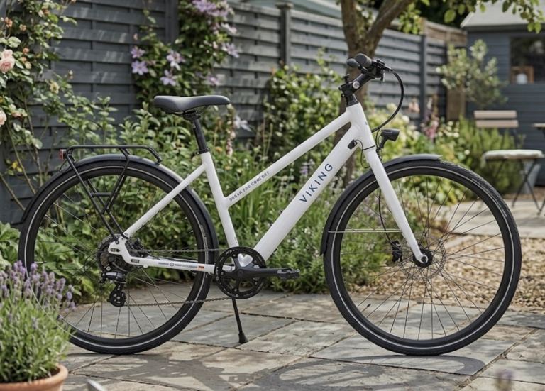 Viking electric bike