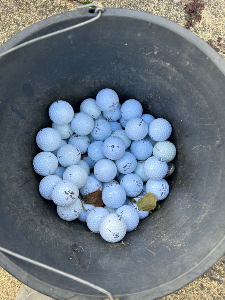64 Top Flite golf balls XL