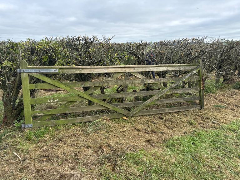 image for 12ft wooden gate & strainer 