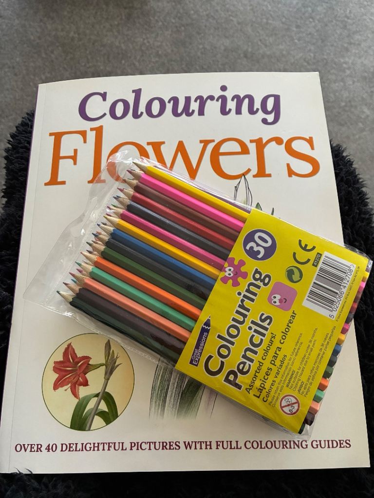Colouring in book + 30 colouring pencils 