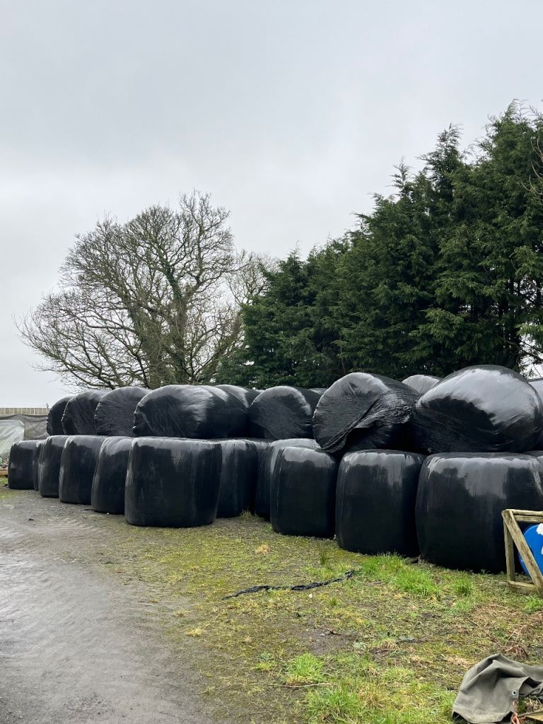 Silage Bales