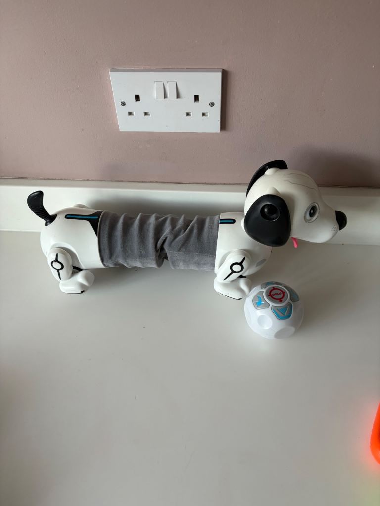 Stretching Puppy Robot Dog with Ball