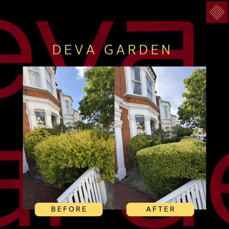     Professional Garden Maintenance 