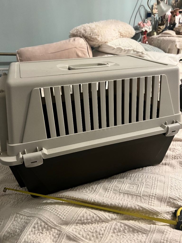 Pet carrier 
