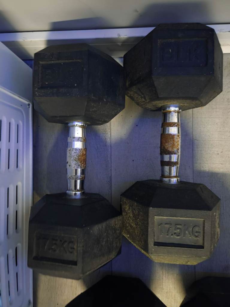 17.5kg dumbells