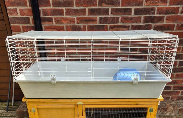 Guinea pig cage 