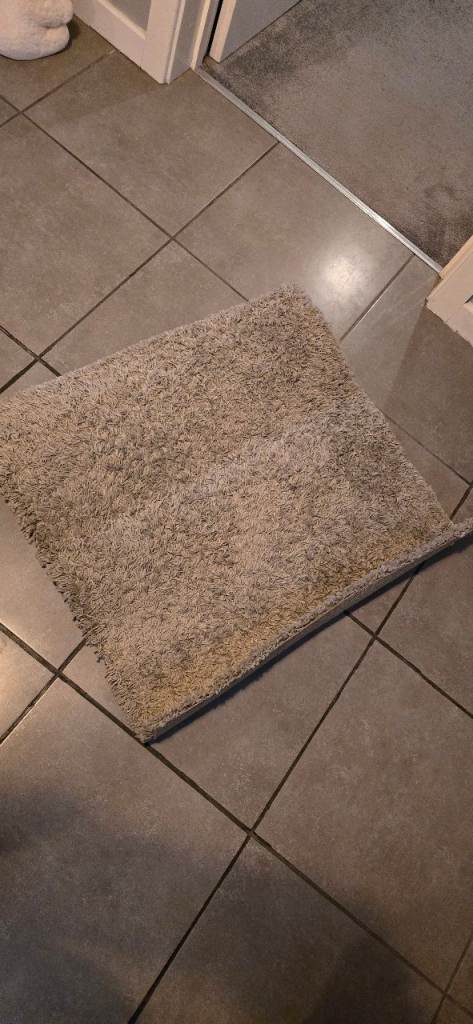 Ikea Hampen Rug