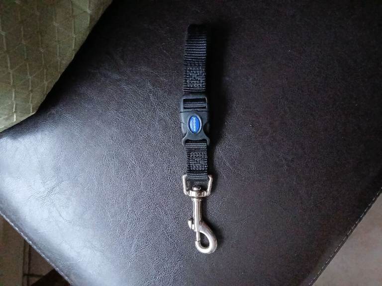 4 small dog leads plus 1 seat belt attachment 
