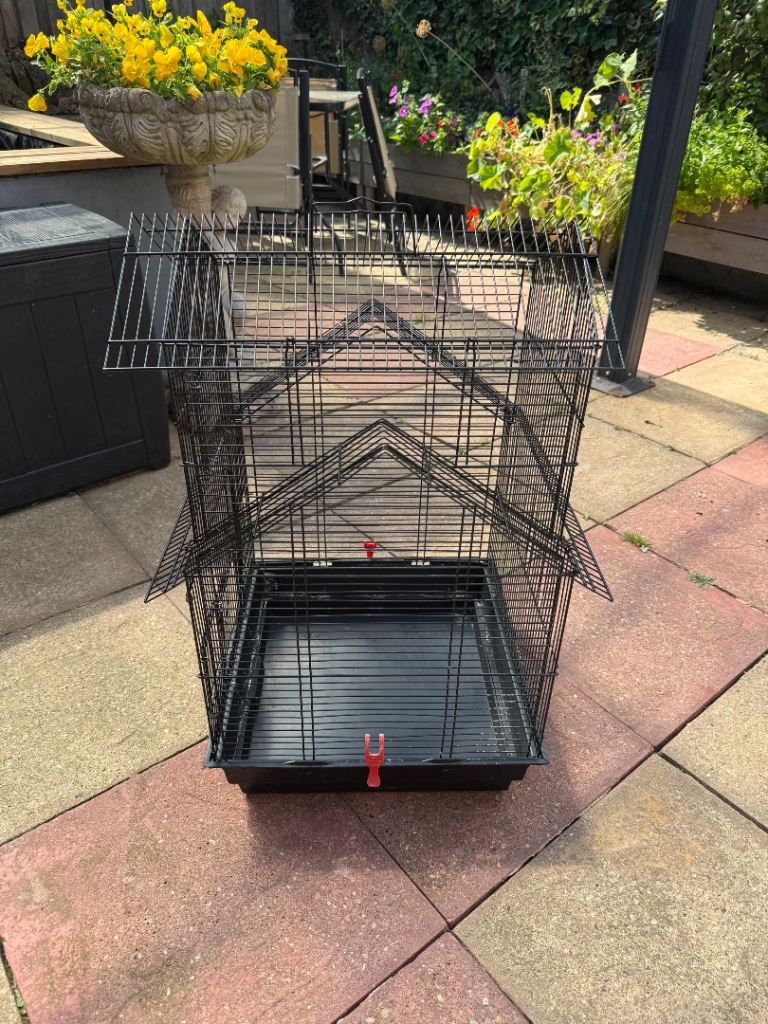 Large black cage 