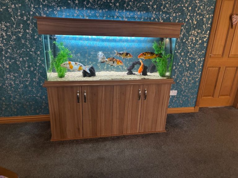 Fish tank and oak unit