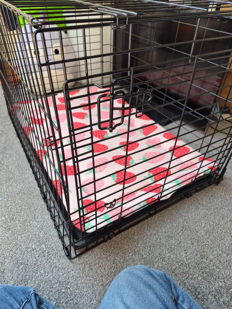 Dog crate