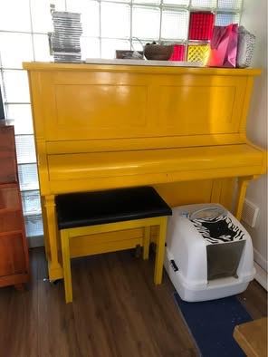 Piano - Please read full description