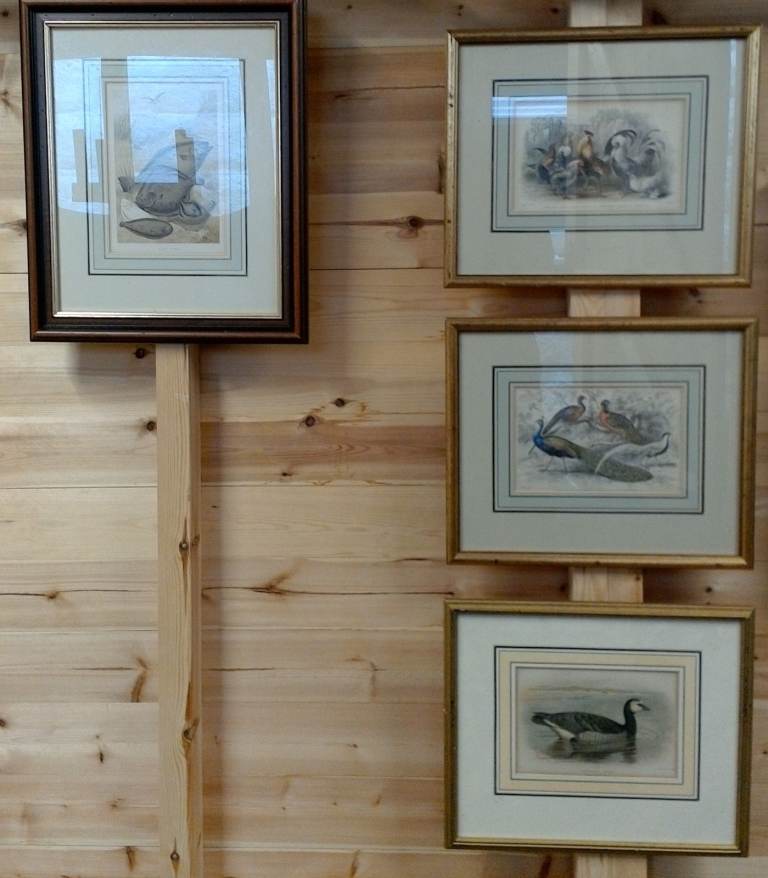 country cottage pictures