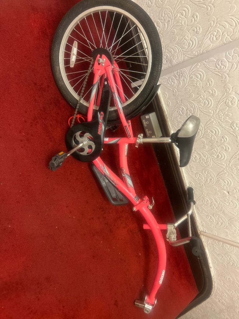 New used once copilot WEERIDE bike trailer