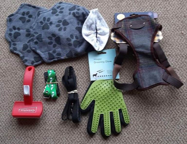 dog harness/lead/collar/grooming glove brush all new plus 2 wash mitts in vgc.