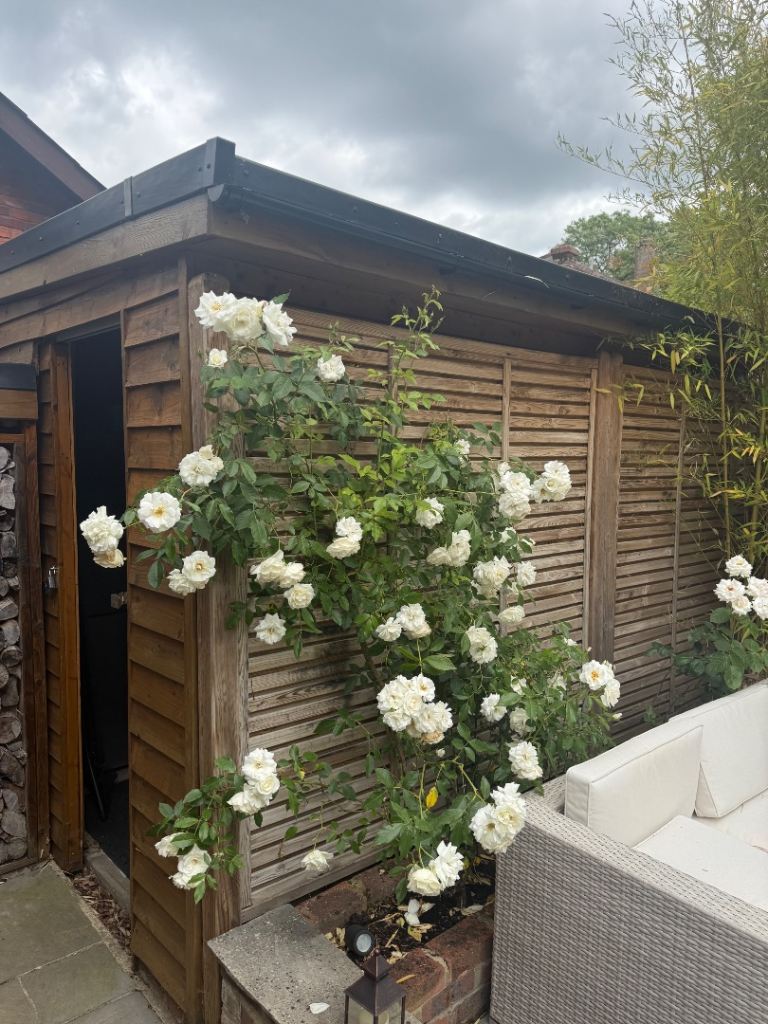 Timber Storage Room / Garden Office with Electrics | St Albans | Buyer Dismantles