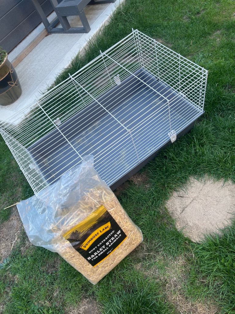 Guinea pig cage
