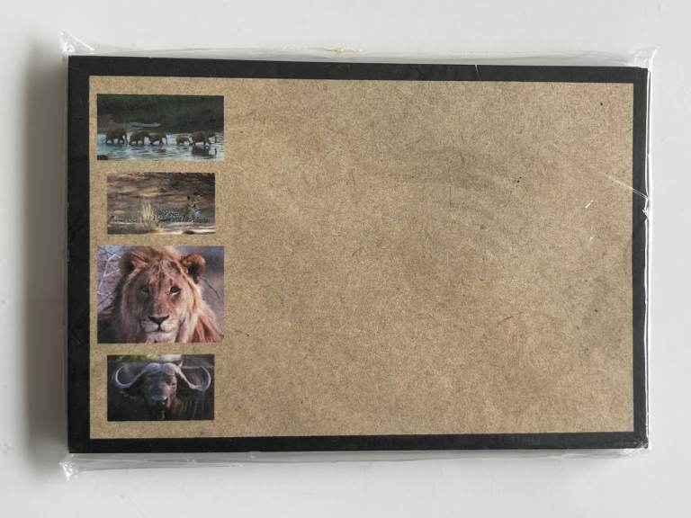 ENVELOPES - SAFARI BIG FIVE