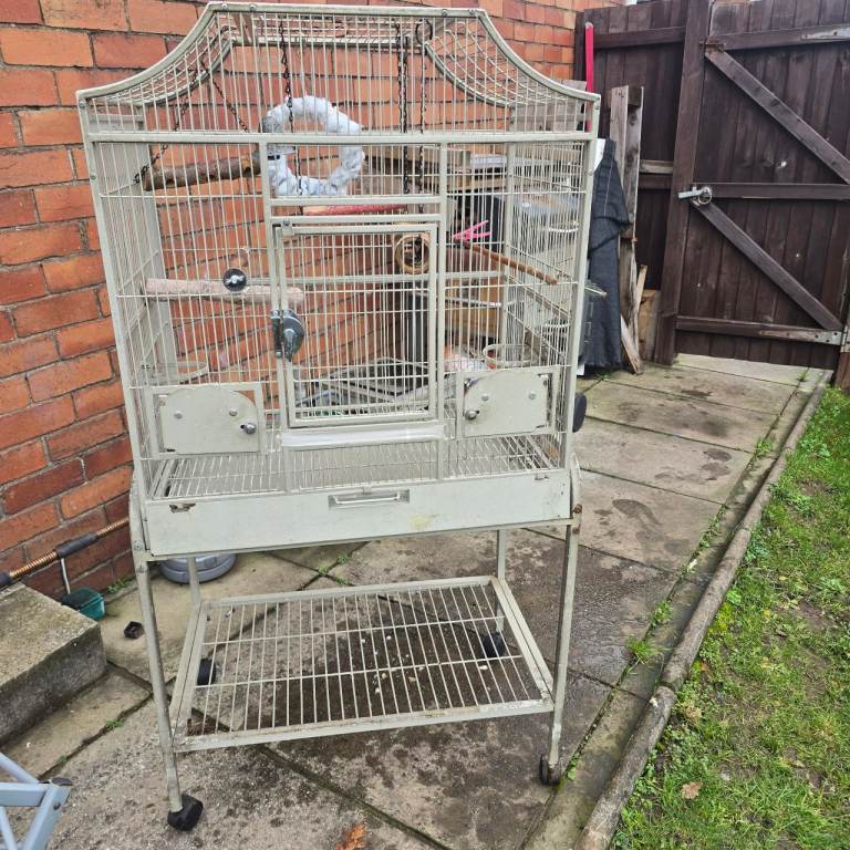 Bird and parrot cage