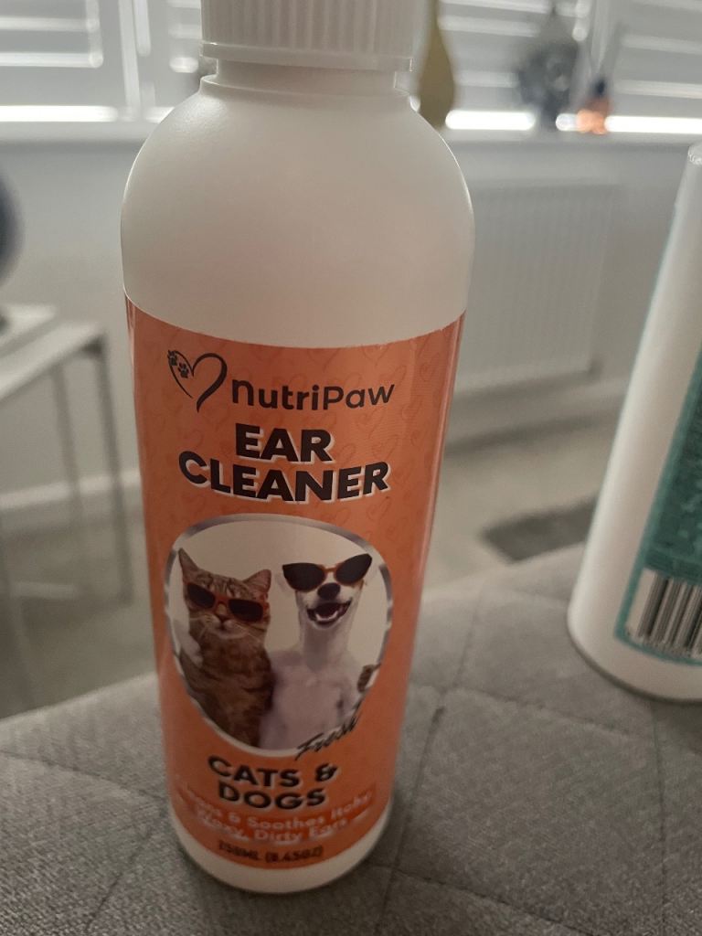 Ear cleaner