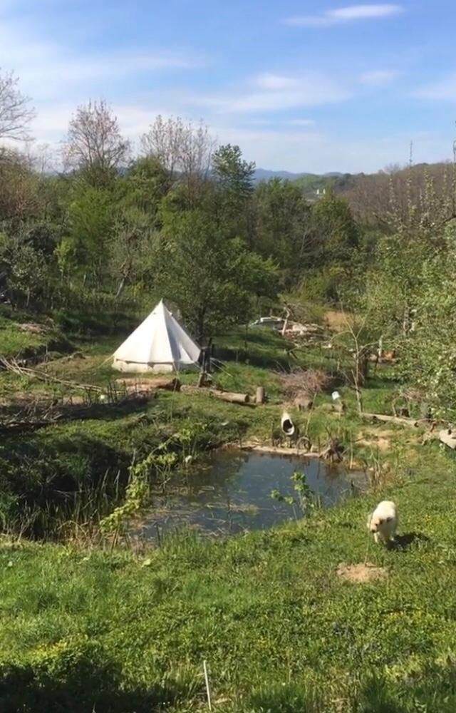 Land/Teren Negotiable 