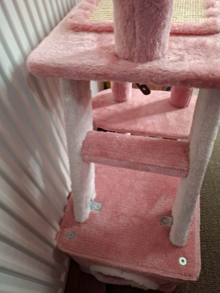 Kitten  scratchpost 
