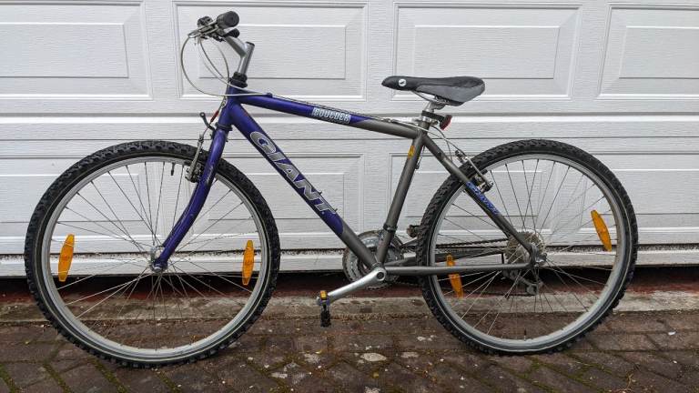 Giant Boulder bike