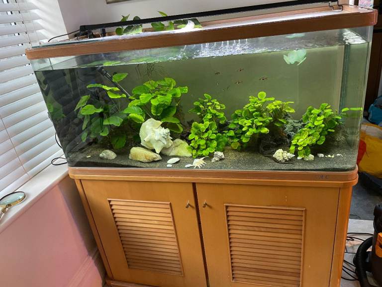 Tropical Fish/Aquarium/Cabinet - 250 Litre - Complete System Set Up.