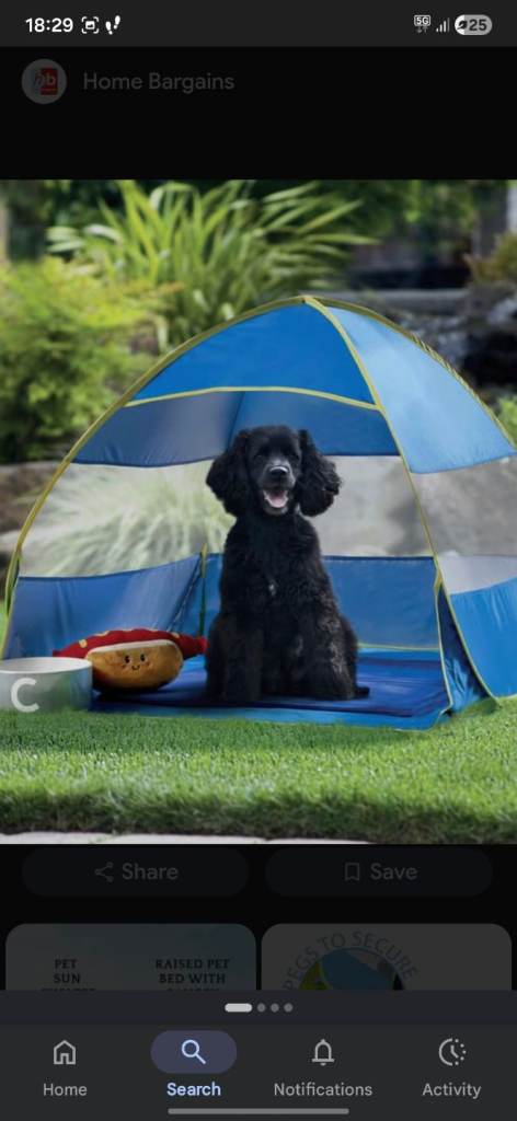 Pet pop up tent