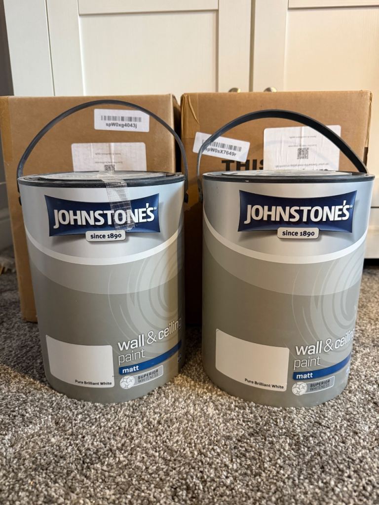 Wall and ceiling paint 