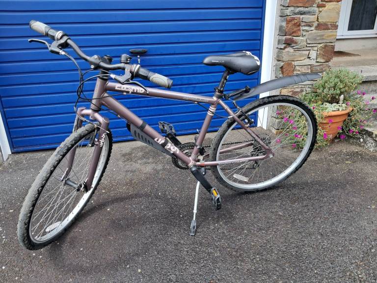 Apollo Cosmo Girls/Ladies/Unisex Medium-size Lightweight Hybrid Bike