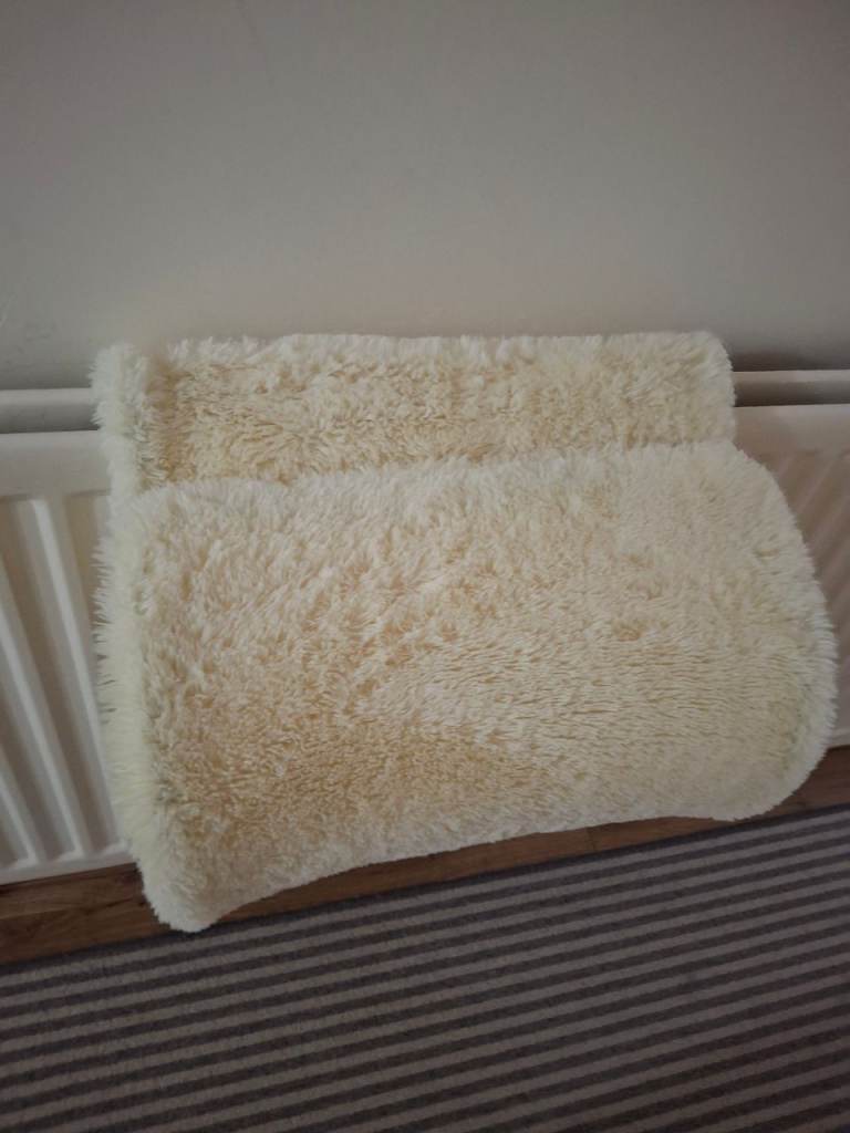 Cat bed over radiator