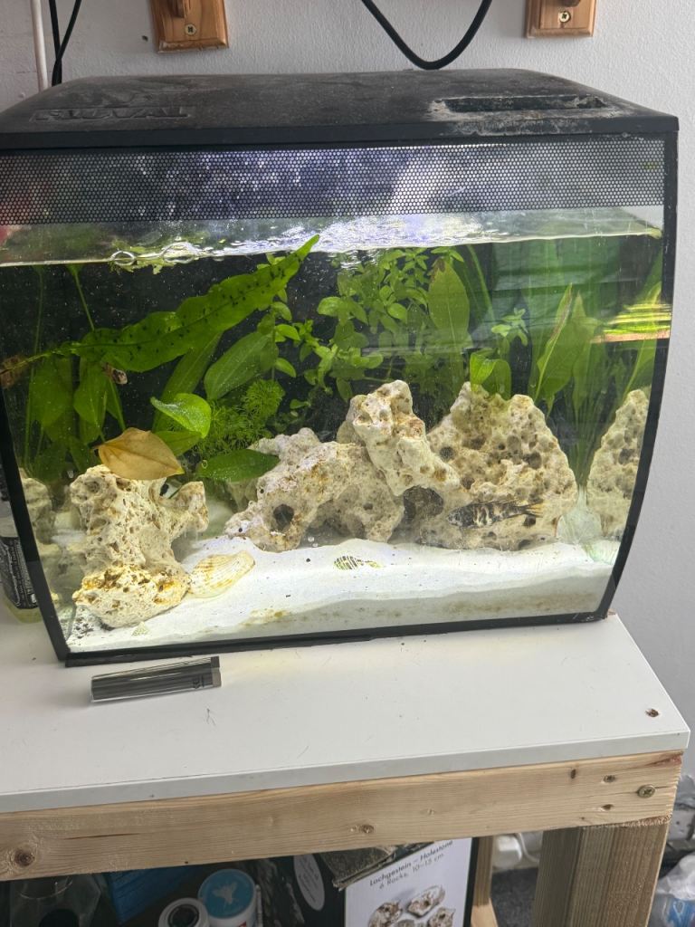 Fluva flex fish tank 