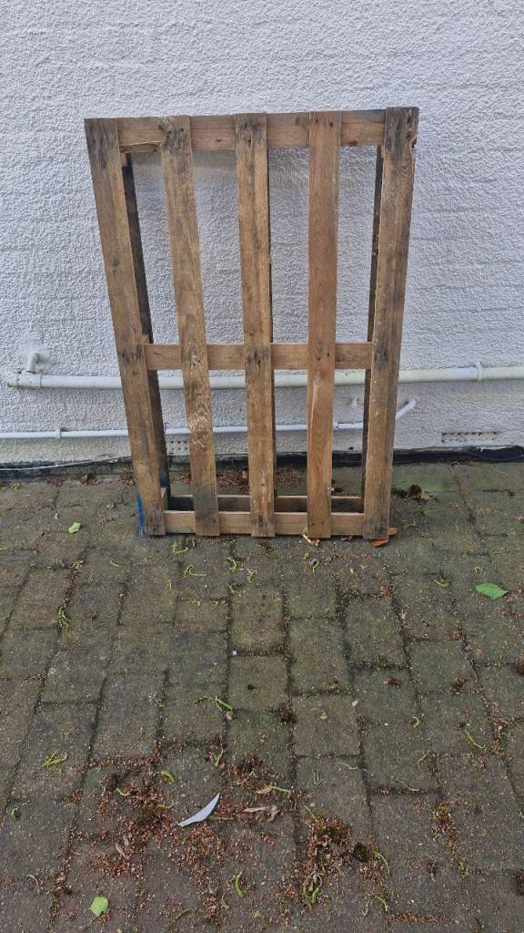 FREE pallet 
