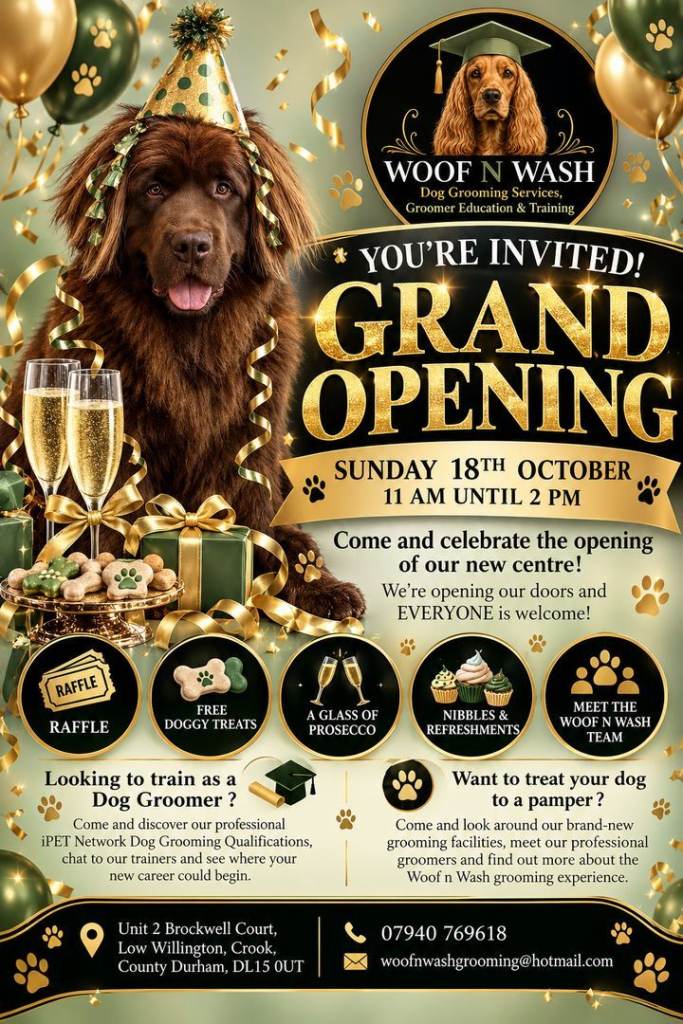 GRAND OPENING DAY