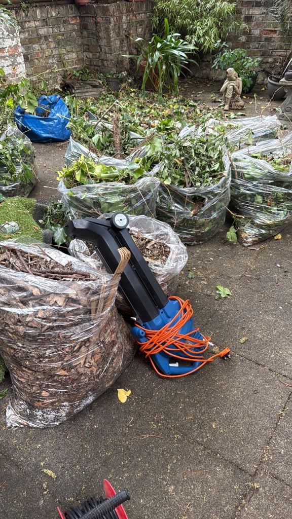 Hyundai leaf blower and vac 