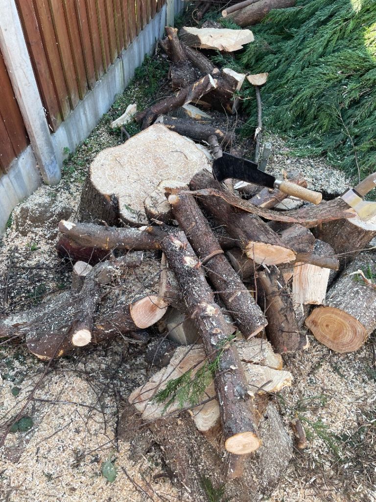 Firewood ***FREE***