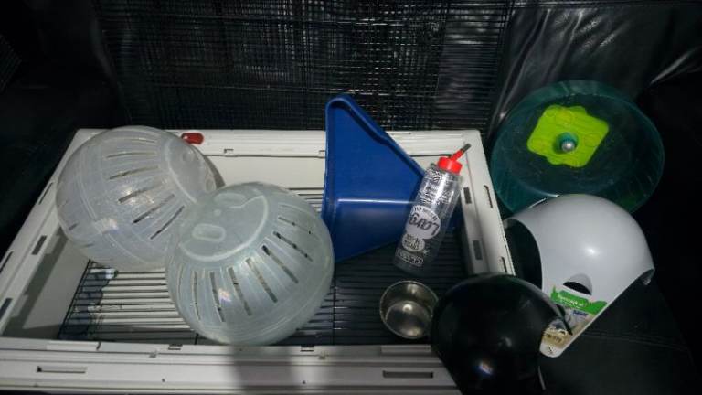 Rat cage and accessories 