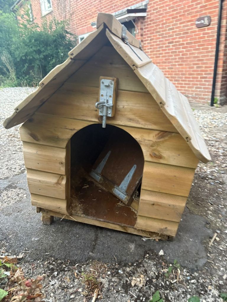 Duck house 