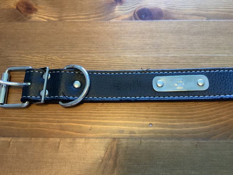 Dog Collar New 