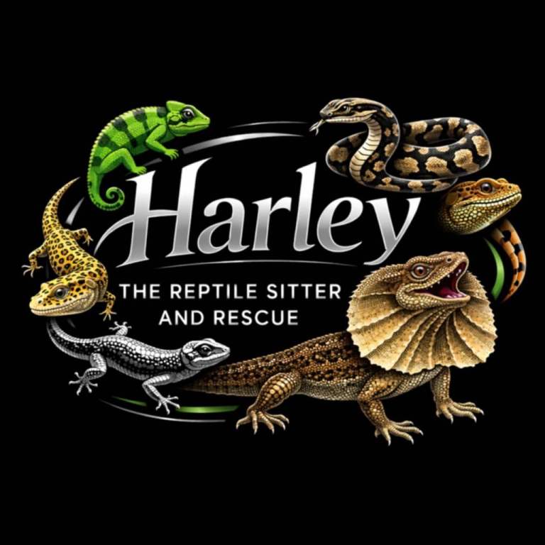 Reptile sitting and rescue 