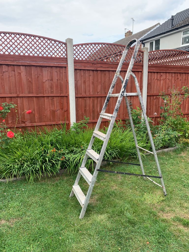 5 Step Ladders