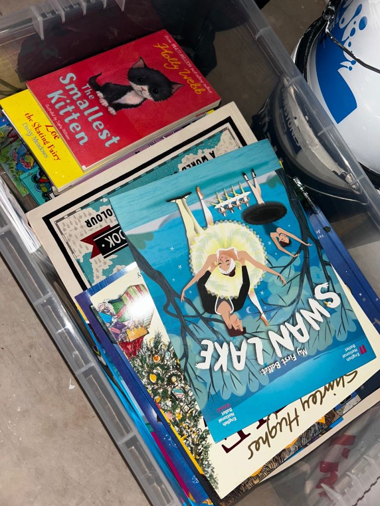 Children's Books Bundle - Swan Lake, Smallest Kitten & More